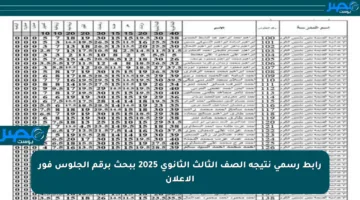 رابط رسمي نتيجة الصف الثالث الثانوي 2025 ببحث برقم الجلوس فور الإعلان
